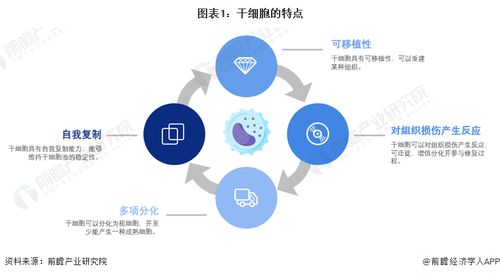 干細(xì)胞技術(shù)前沿預(yù)測 裴鋼院士強(qiáng)調(diào)生物醫(yī)藥產(chǎn)品開發(fā)需融合網(wǎng)絡(luò)技術(shù)的三大核心要素