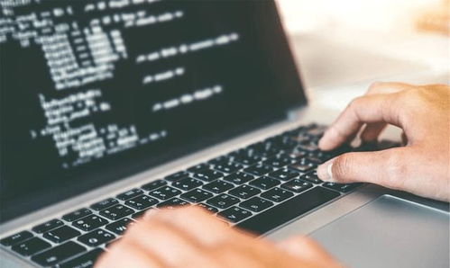 重點大學計算機專業學生，考研還是就業？