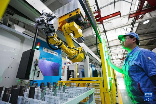 新時(shí)代中國調(diào)研行之看區(qū)域 | 東北智造 以企業(yè)網(wǎng)絡(luò)技術(shù)匯聚振興新動(dòng)能